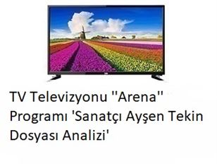 Prof Dr Cumali Aktolun Star TV Televizyonu ''Arena'' Programı 'Sanatçı Ayşen Tekin Dosyası Analizi'